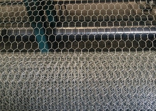 توری مرغی و فرنگی چه فرقی با هم دارند؟