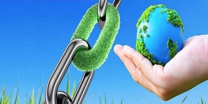 بررسی صفر تا صد فولاد سبز